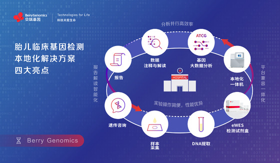 貝瑞基因發布胎兒臨床基因檢測本地化解決方案，助力出生缺陷預防